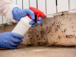 Best Crawl Space Mold Remediation  in Granite Falls, MN